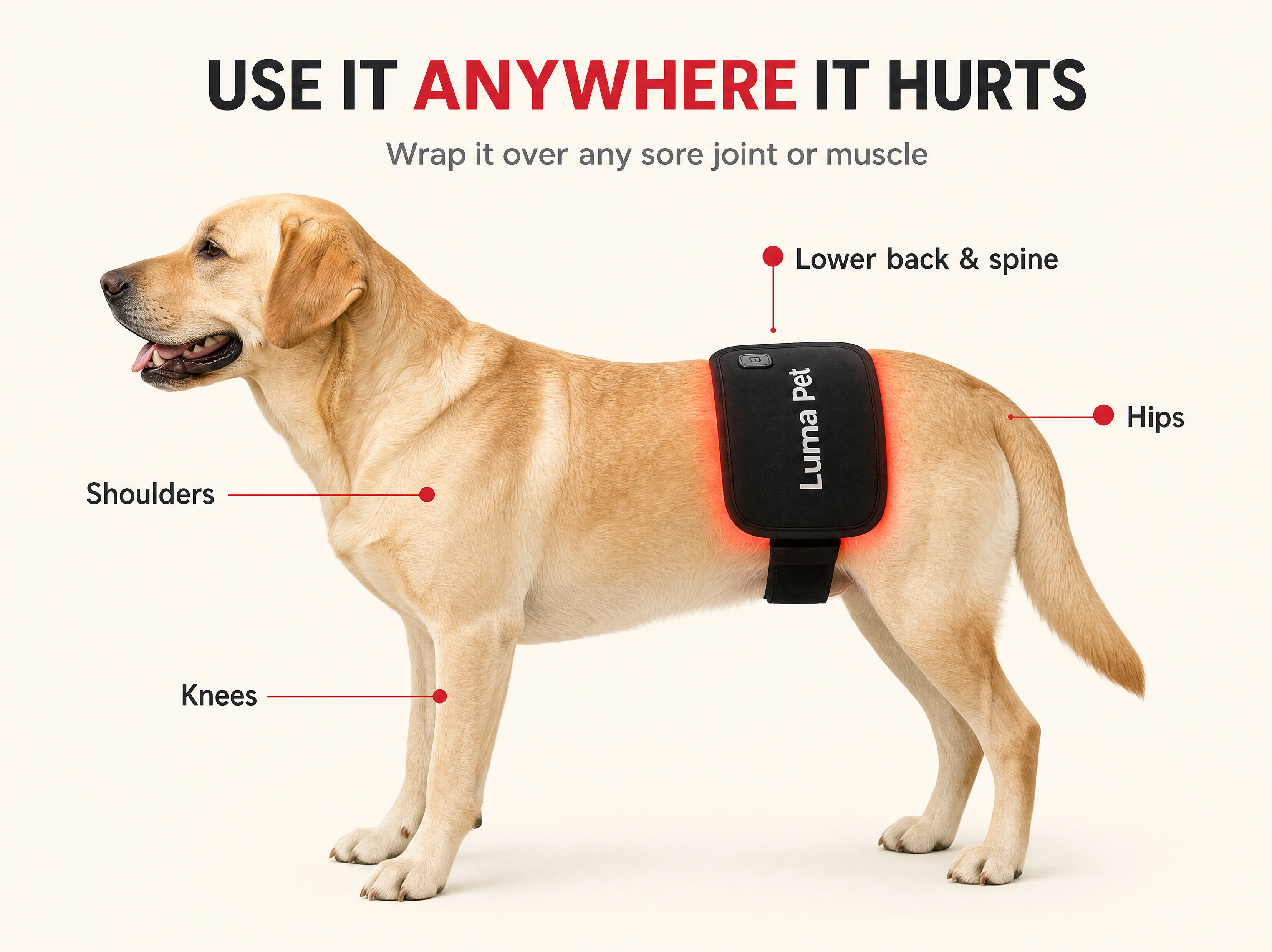 Luma Pet Red Light Pad.