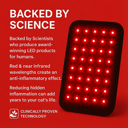 Luma Pet Red Light Mat