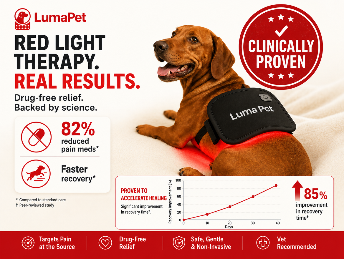 Luma Pet Red Light Pad.