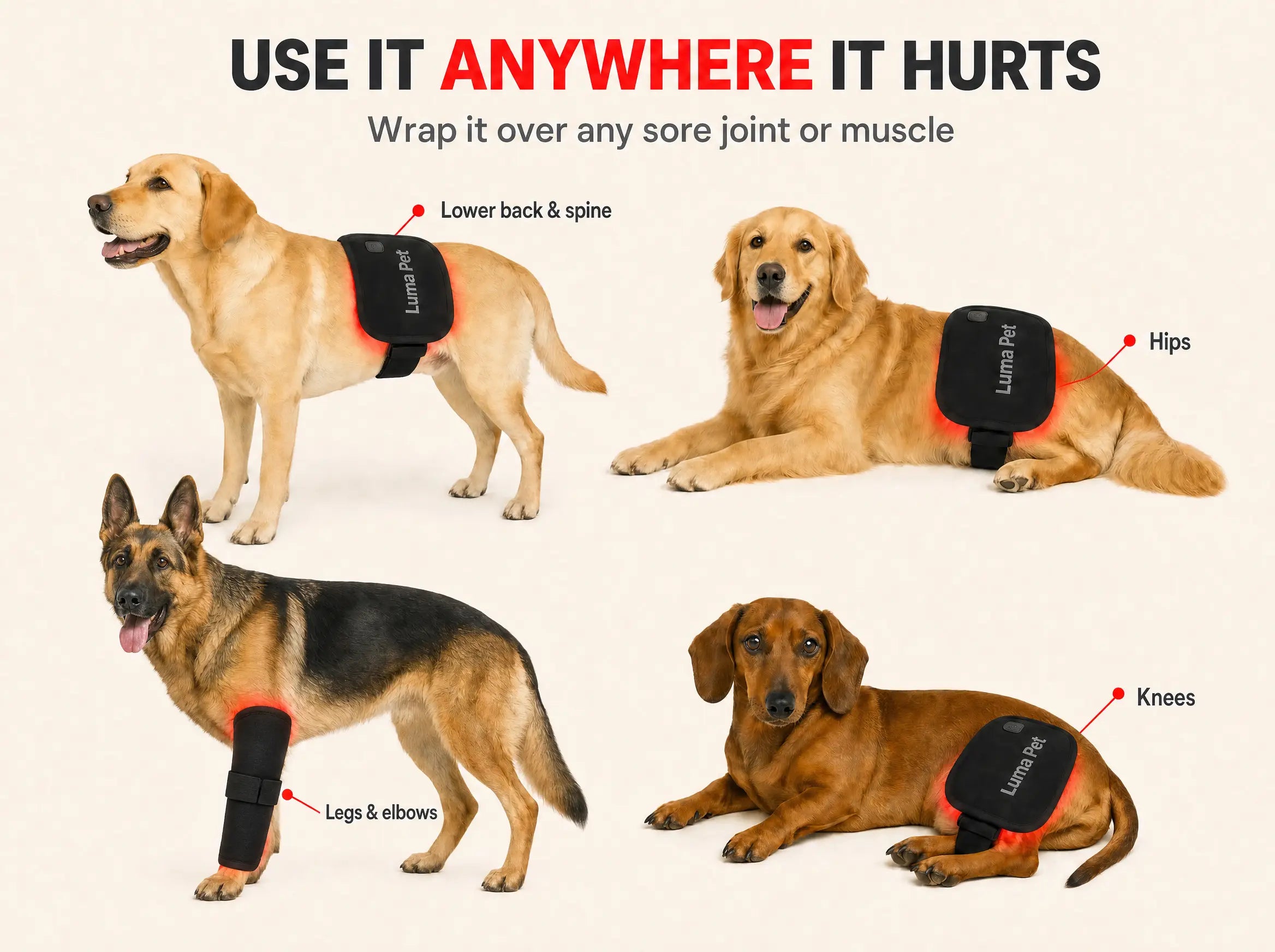 Luma Pet Red Light Pad.
