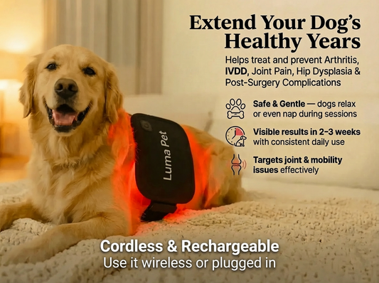 Luma Pet Red Light Mat