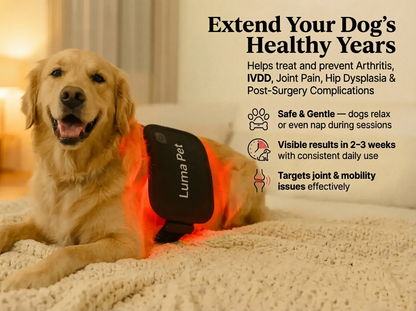 Luma Pet Red Light Mat