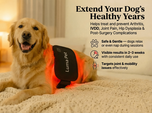 Luma Pet Red Light Mat