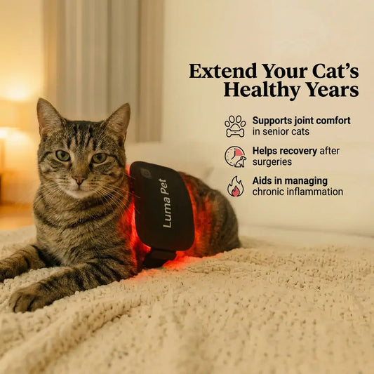 Luma Pet Red Light Mat