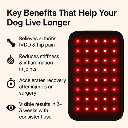 Luma Pet Red Light Mat