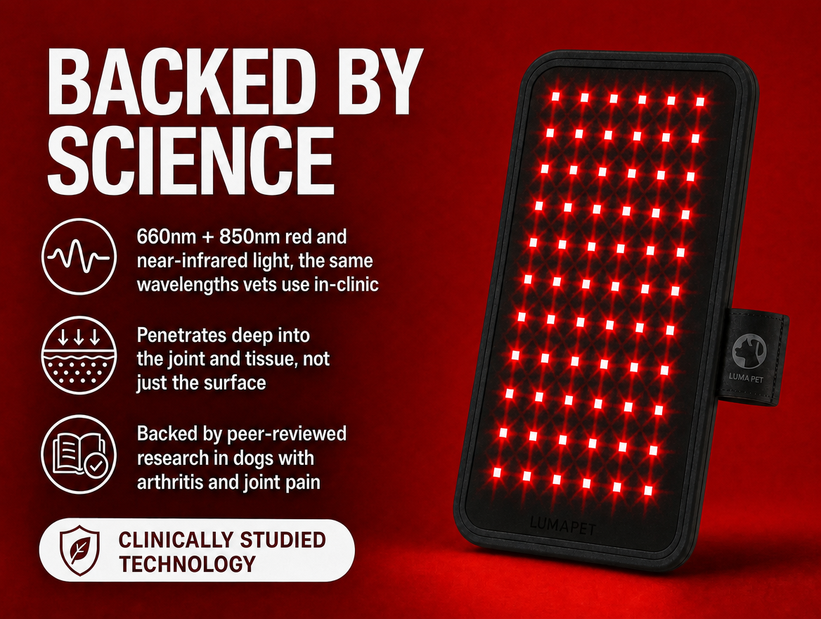 Luma Pet Red Light Pad.